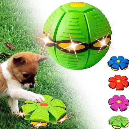Bola Mágica Interativa com Luzes para Pets – Diversão Sem Fim | ForPatas