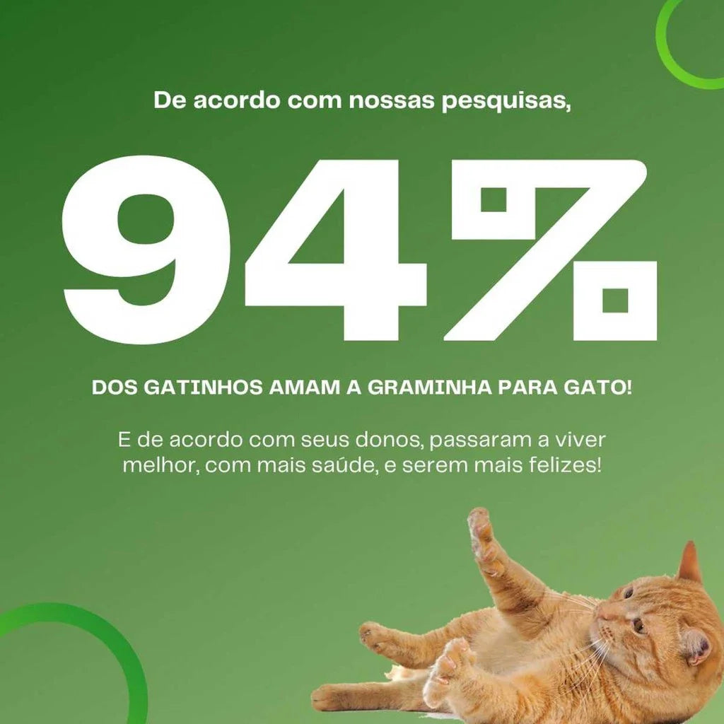 Graminha Natural para Gatos – Bem-estar, estímulo e alívio do estresse